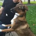 Erik profile picture